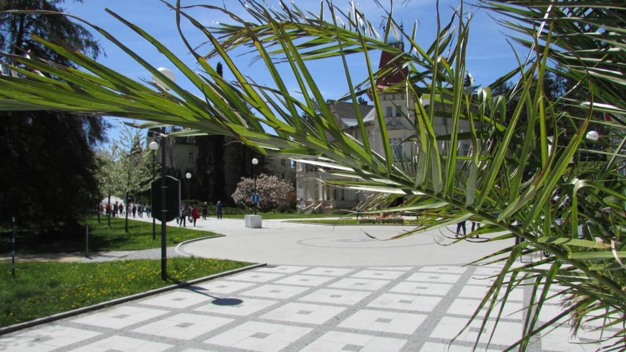 Apartmany Luha Luhacovice Exterior photo